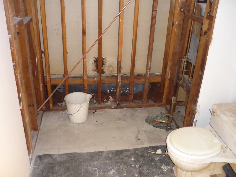 P1010080.JPG - Can you imagine a new shower?