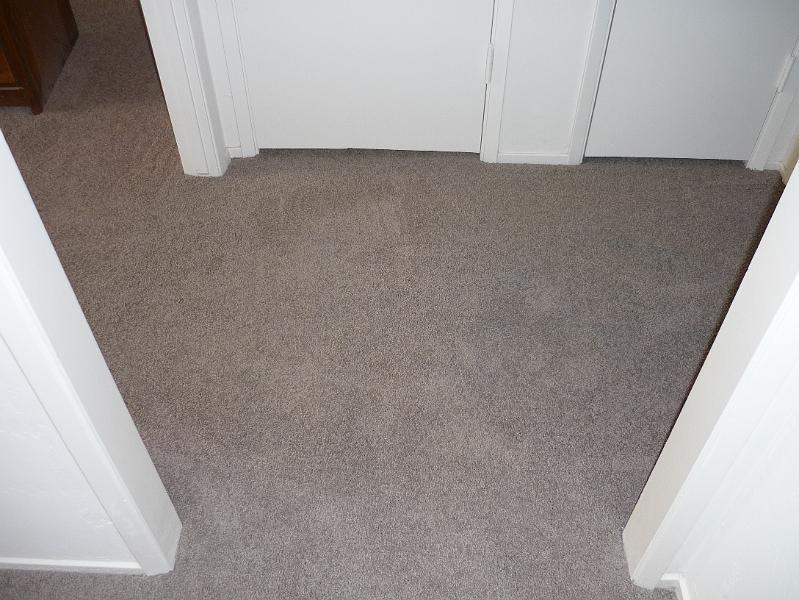 P1010132.JPG - New carpet.