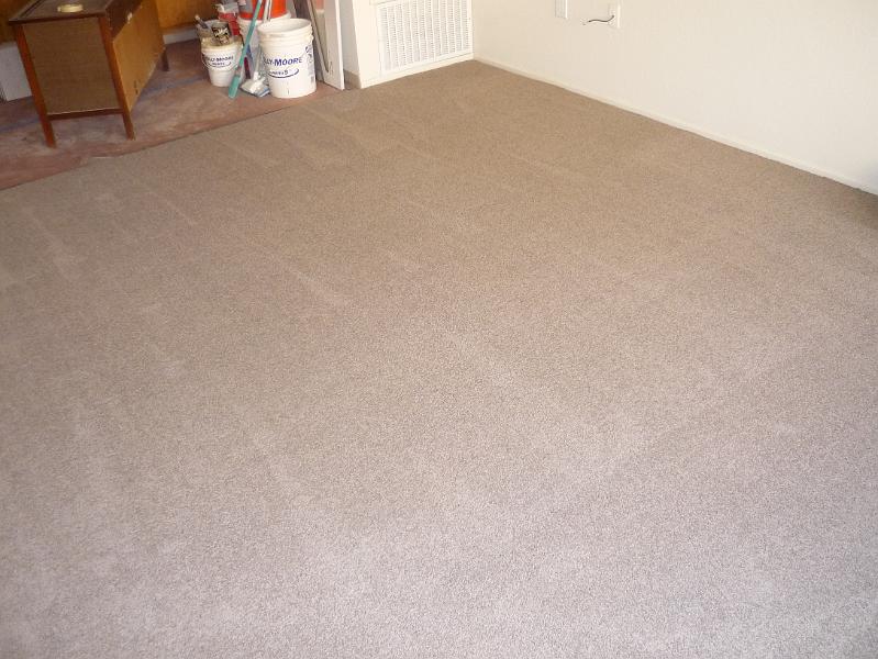 P1010131.JPG - The carpet turned out nice.