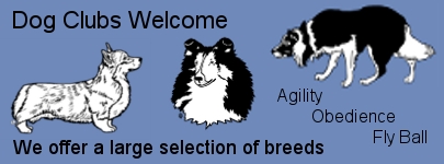 Dog Club Banner - link to information 